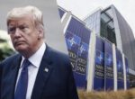 Заявление Трампа о НАТО заставляет европейцев задуматься о создании альянса без США, – NYT