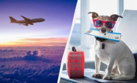 Авиакомпании массово отменяют рейсы из-за войны в Иране, – Business Insider