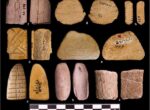 Коренные американцы изобрели азартные игры более 12 000 лет назад, — исследование