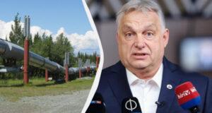 Возле газопровода из Сербии в Венгрию обнаружили взрывчатку: Орбан отреагировал