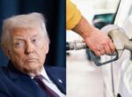 Очередная «победа» Трампа: цены на топливо в США взлетели до исторического рекорда