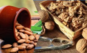 Что лучше для здоровья мозга — грецкие орехи или миндаль: диетологи дали четкий ответ