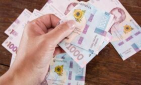 «Национальный кэшбек» для украинцев с низкими доходами: на что больше всего тратят средства
