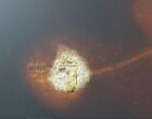 В озере Шотландии нашли рукотворный остров возрастом 5000 лет: он старше Стоунхеджа
