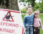 Как защититься от клещей: лесники назвали два подручных средства