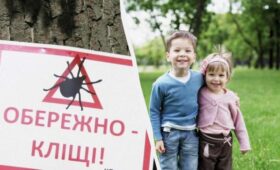 Как защититься от клещей: лесники назвали два подручных средства