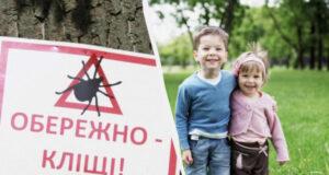 Как защититься от клещей: лесники назвали два подручных средства
