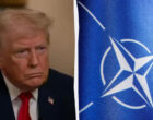 НАТО разрушается: The Times назвало главную угрозу вывода войск США из Германии
