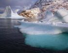 Британские учёные нашли способ заморозить талый лёд в Северном Ледовитом океане