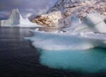 На дне Арктики появились новые экосистемы: ученые выяснили причину