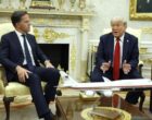 Всего два слова: Трамп резко перебил Рютте в Овальном кабинете, – NYP