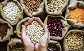8 продуктов с клетчаткой, которые оказались лучше фасоли: список из рациона диетолога