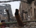 Киев совершенно не готов к зиме: эксперт рассказал, что ждет столицу