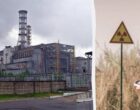 В руинах 4-го энергоблока ЧАЭС скрывается организм, питающийся радиацией, – ученые