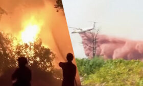 Лесные пожары во Франции могут представлять угрозу для заводов по производству ракет, – The Telegraph
