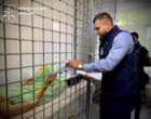 Удар РФ по выставке вооружений в Киевской области: главного организатора мероприятия задержали
