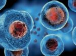 В США создали синтетическую форму жизни, которая умеет питаться, расти и размножаться