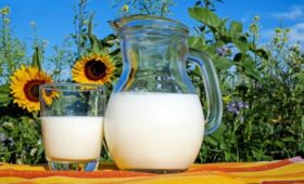 Диетологи назвали продукт №1 для крепких костей: почему его советуют употреблять каждый день