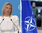 В России устроили истерику из-за решений на саммите НАТО по Украине