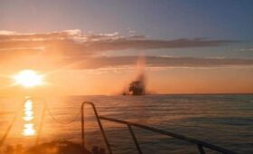 Украина предложила РФ прекратить удары в Чёрном море, – Reuters