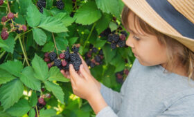8 продуктов, в которых магния намного больше, чем в ежевике