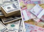 До 46 гривен за доллар: аналитик объяснил, почему гривня рискует ослабнуть уже в августе