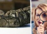 Почти 2000 лет не могли прочитать: ученые раскрыли тайну обугленного свитка