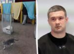 «Это будет полный бардак»: в CNN объяснили, что не так с идеей Федорова о выборах