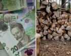 Пенсионерам выплатят по 8 тысяч гривень на дрова: кто получит деньги