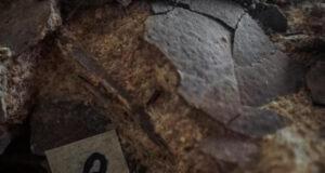 Окаменевшие 150 миллионов лет назад яйца найшли в необычном месте