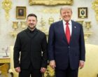 О чем будут говорить Зеленский и Трамп на встрече: The Telegraph раскрыл главную тему