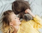 В каких странах люди счастливее: учёные обнаружили неожиданную связь с кошками
