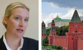 Почему АдГ считает РФ настоящим другом Германии: The Telegraph назвал причины