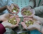 НБУ выпустит необычные монеты (фото)