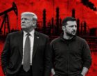 Уиткофф и Кушнер летают в Москву не для того, чтобы остановить войну, — эксперт