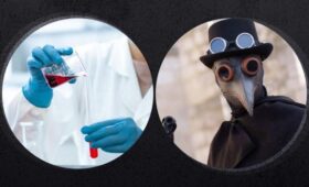 Может ли чума из России добраться до Украины и как она лечится: ответ инфекциониста