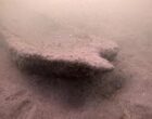 Водолаз случайно обнаружил на дне озера тысячелетнее каноэ: чем оно примечательно