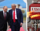 Переговоры между США и Россией по Украине теперь включают масштабную нефтяную сделку, – NYT